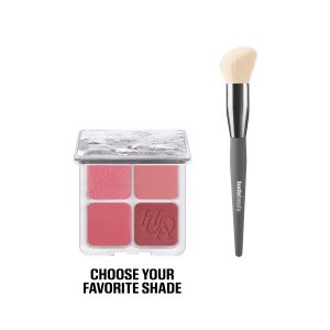 Blush & Brush Kit